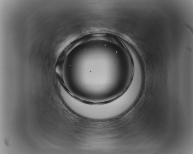 X0000099531269200805231053
