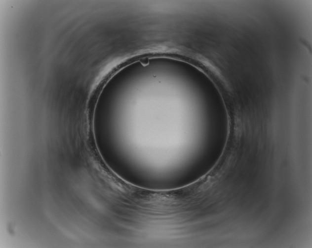 X0000099531270200805231053