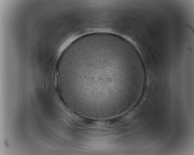 X0000099531271200805231053