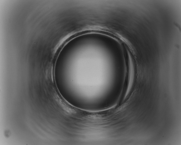 X0000099531272200805231053