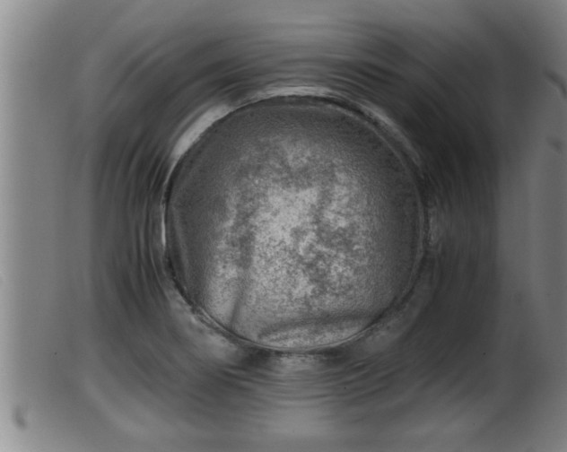 X0000099531274200805231053