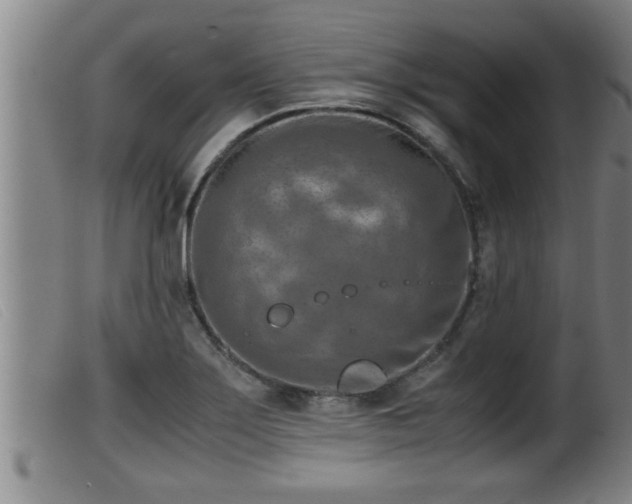 X0000099531275200805231053