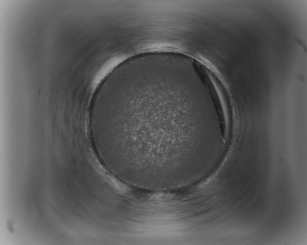 X0000099531277200805231053