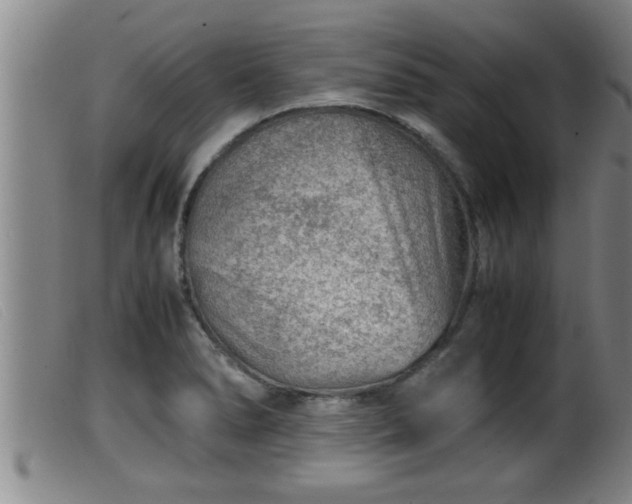 X0000099531278200805231053