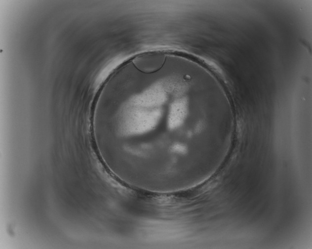 X0000099531279200805231053