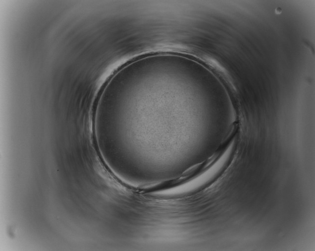 X0000099531280200805231053