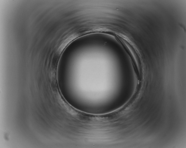 X0000099531281200805231053