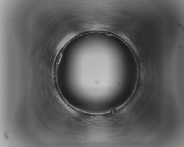 X0000099531285200805231053