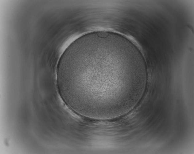 X0000099531287200805231053