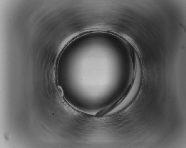 X0000099531288200805231053