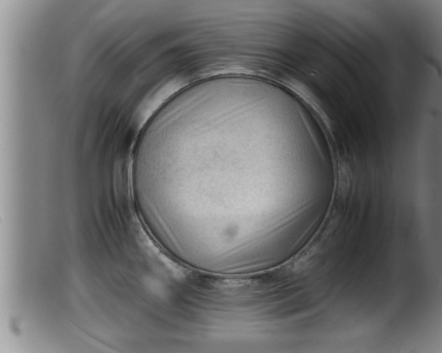 X0000099531290200805231053