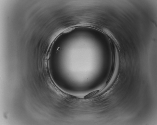X0000099531292200805231053
