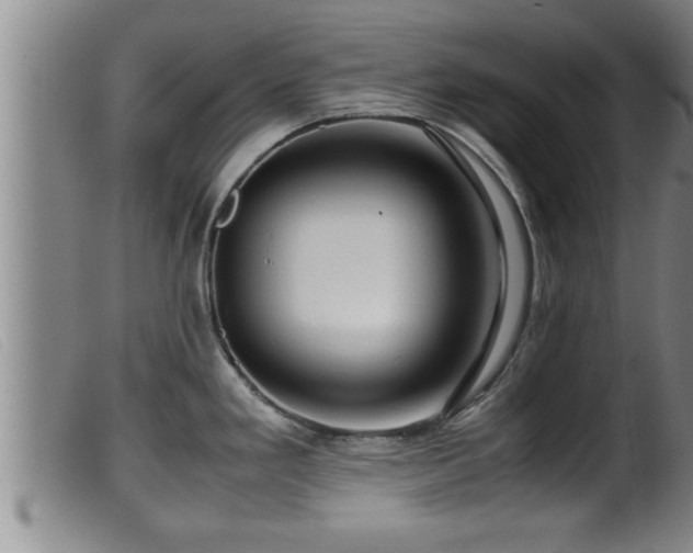 X0000099531293200805231053