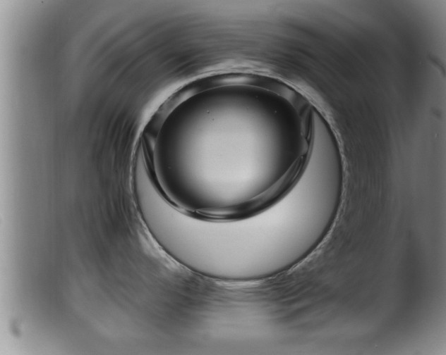 X0000099531296200805231053