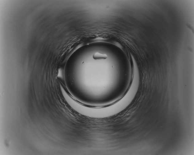 X0000099531298200805231052
