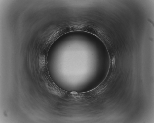 X0000099531299200805231052