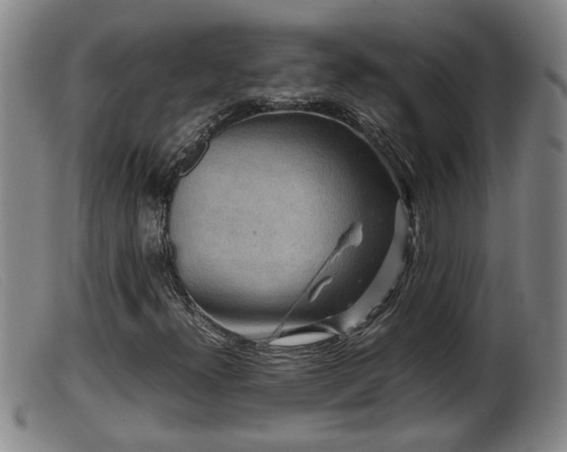 X0000099531300200805231052
