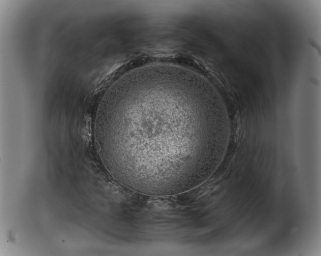 X0000099531301200805231052