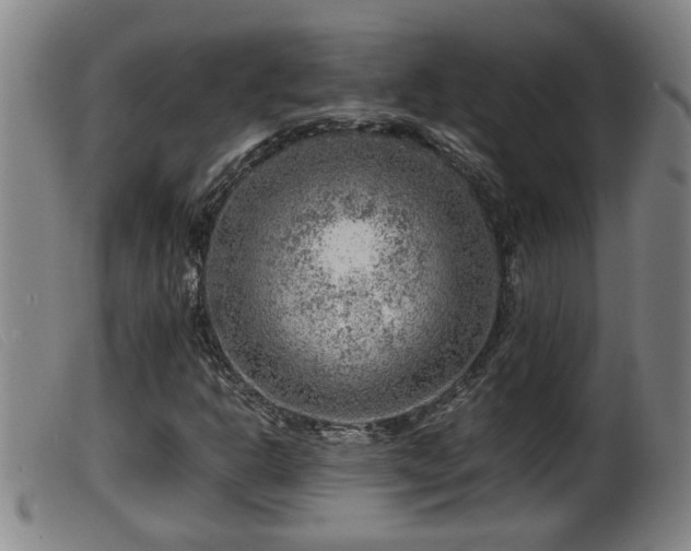 X0000099531302200805231052