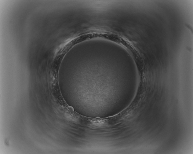 X0000099531303200805231052