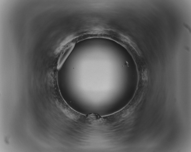 X0000099531304200805231052
