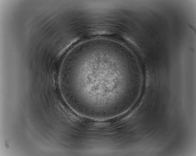 X0000099531305200805231052