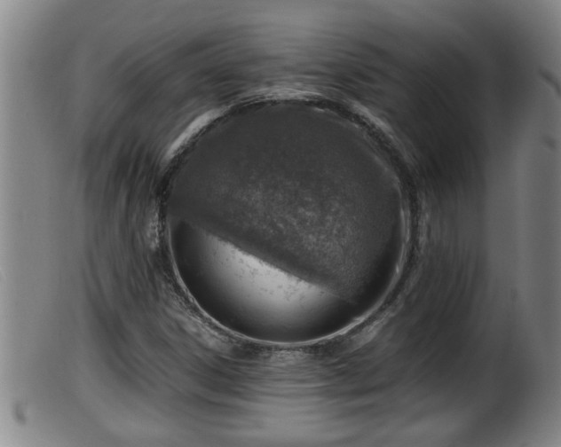X0000099531306200805231052