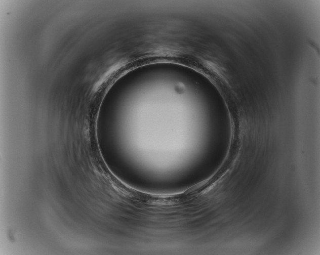 X0000099531307200805231052