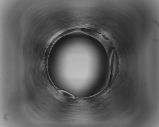 X0000099531308200805231052