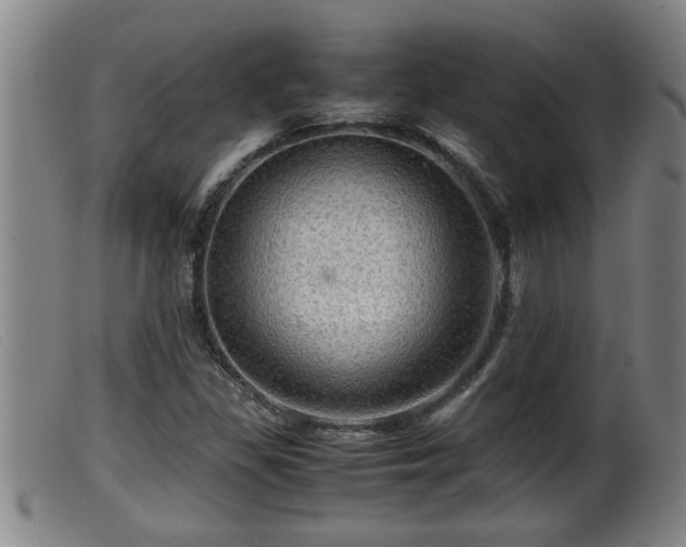 X0000099531309200805231052