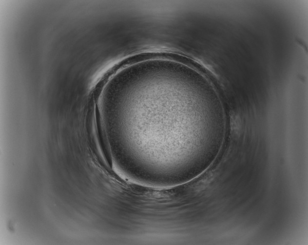X0000099531311200805231052