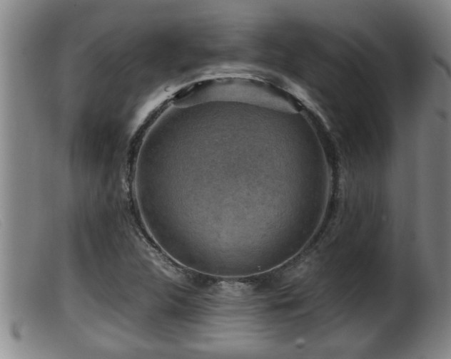 X0000099531312200805231052