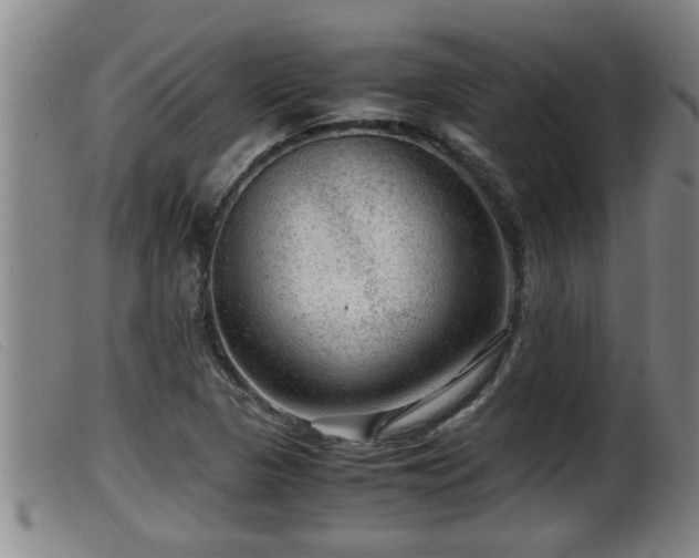 X0000099531313200805231052
