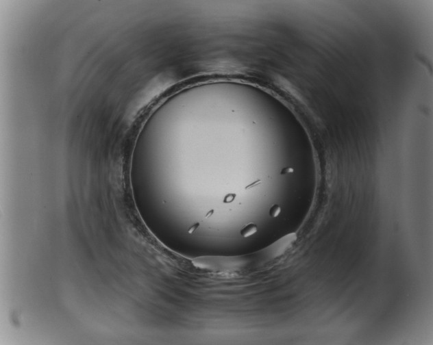 X0000099531315200805231052