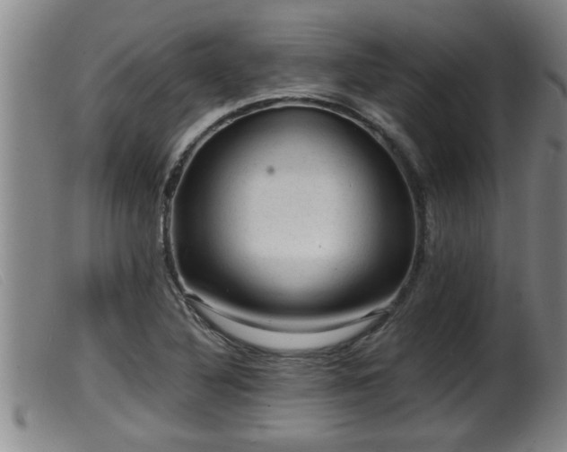 X0000099531316200805231052