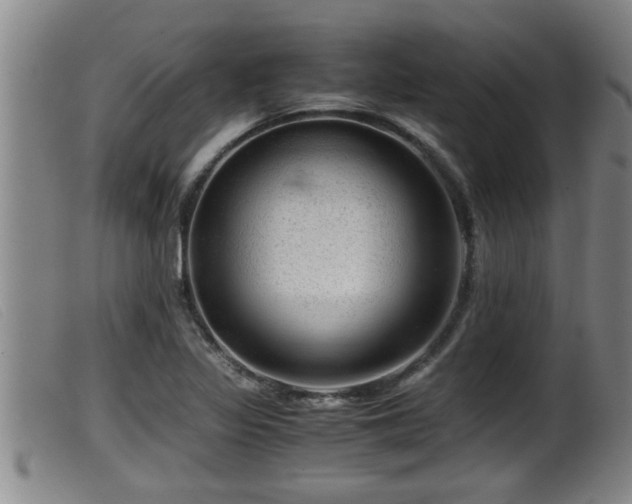 X0000099531317200805231052