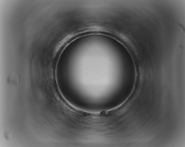 X0000099531318200805231052