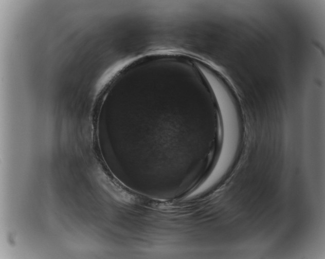 X0000099531319200805231052