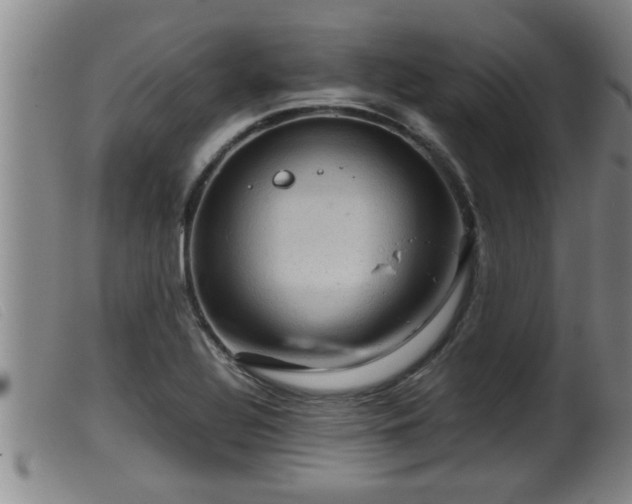 X0000099531320200805231052