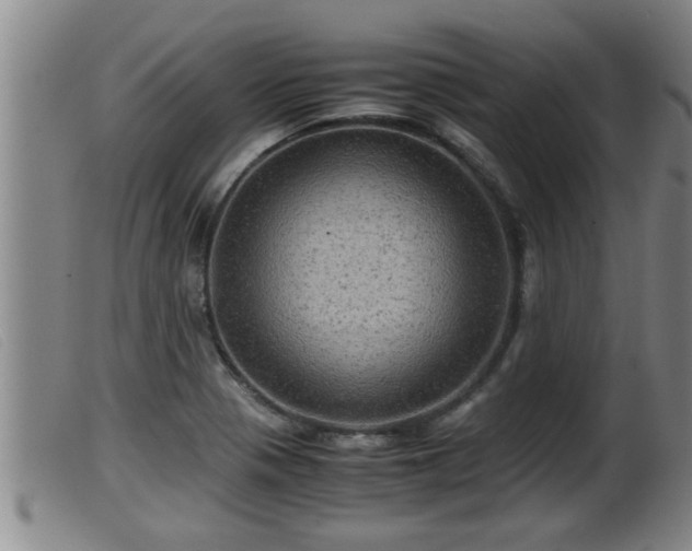X0000099531321200805231052