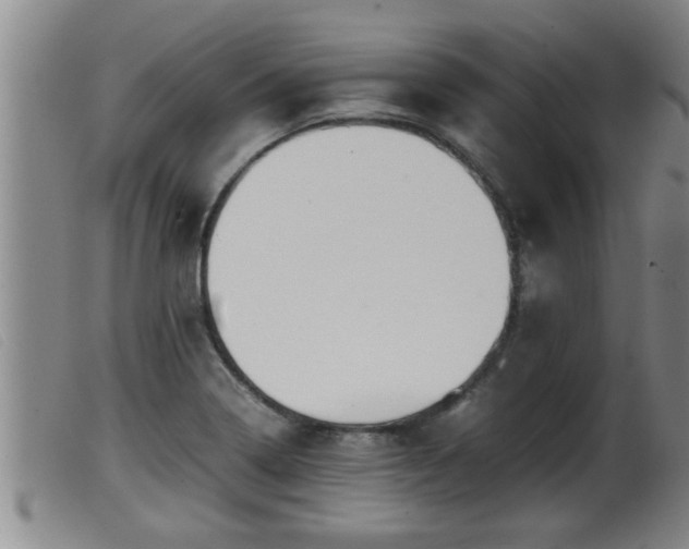 X0000099531322200805231052