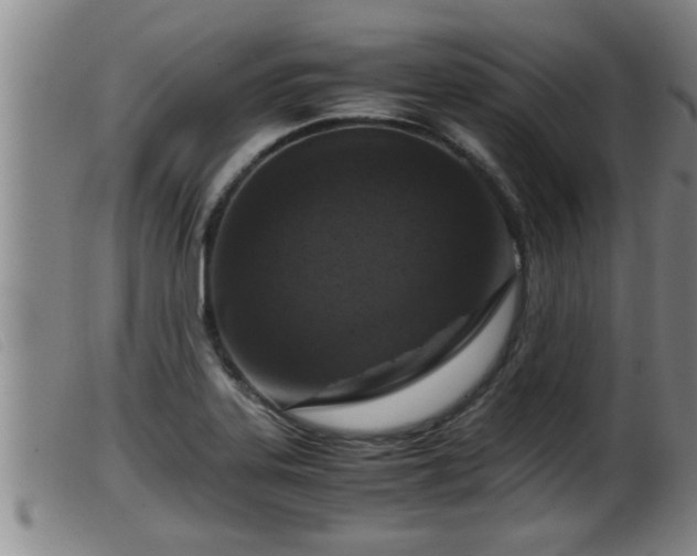 X0000099531323200805231052