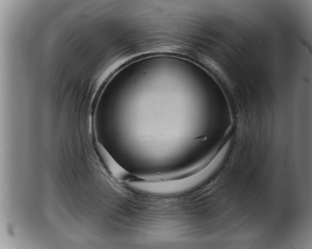 X0000099531324200805231052