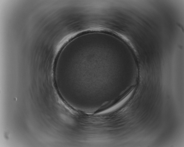 X0000099531327200805231052