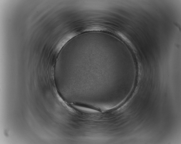 X0000099531329200805231052
