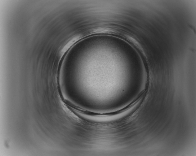 X0000099531330200805231052