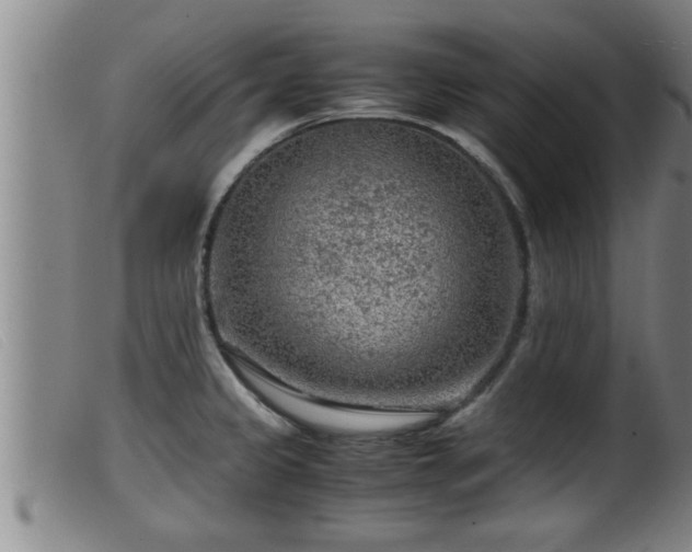 X0000099531333200805231053