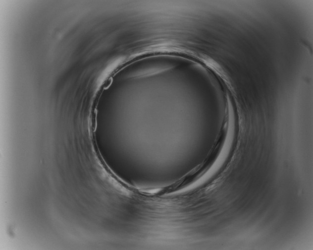 X0000099531334200805231053