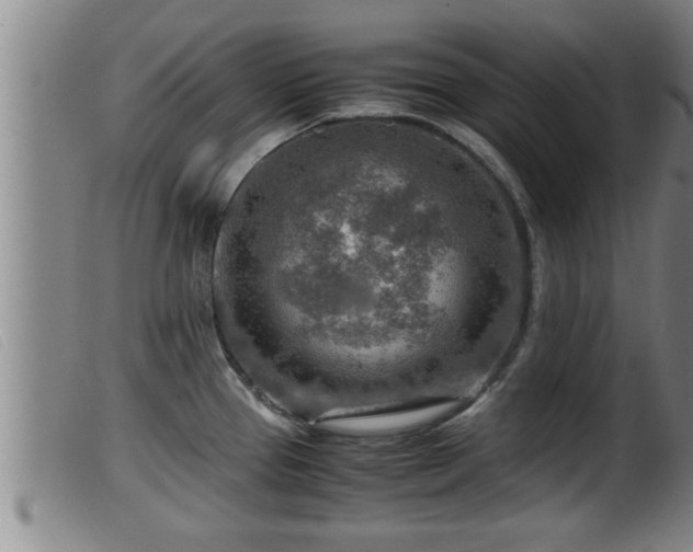 X0000099531337200805231053