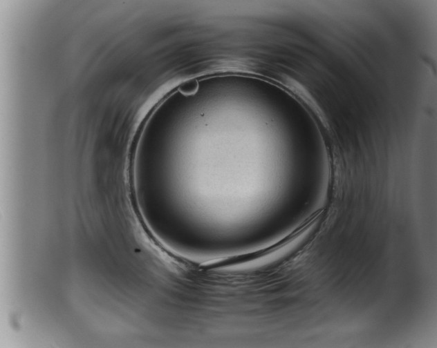X0000099531339200805231053